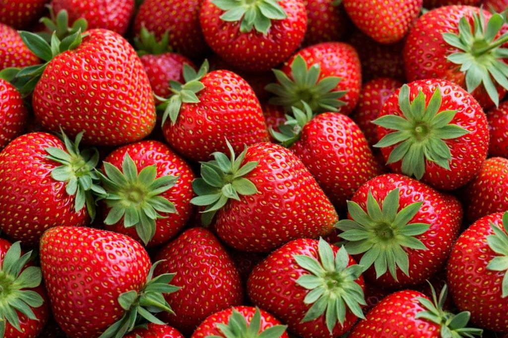 Erdbeeren